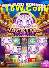 Benefícios da Conta TT77 Bet